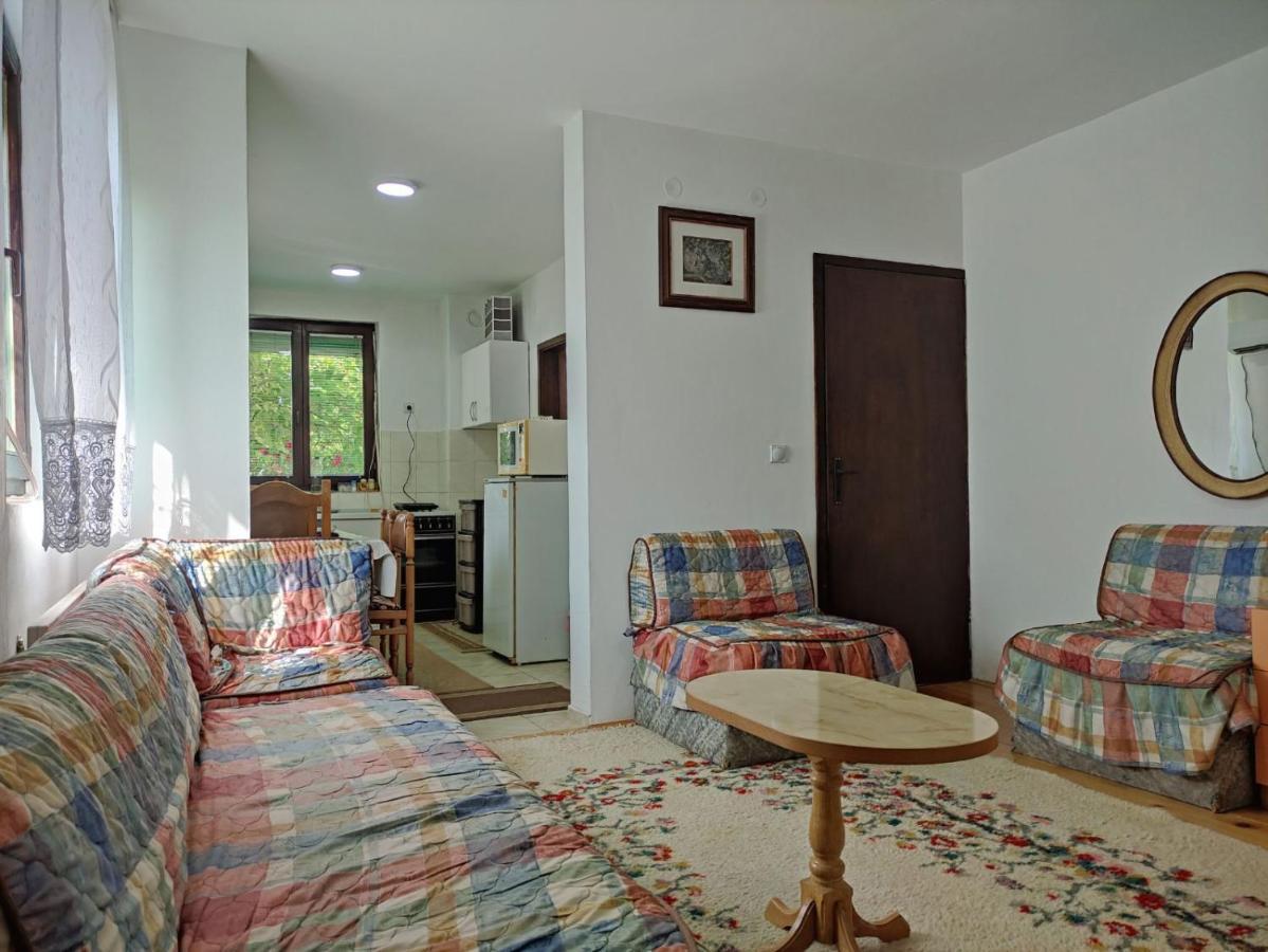 Cozy House Cvetkovic Villa Nis Exterior photo