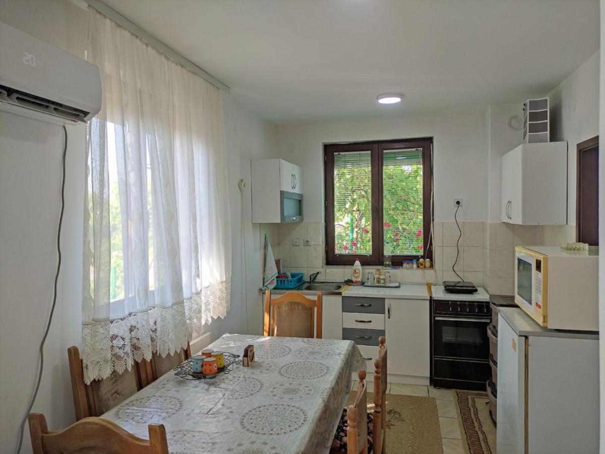 Cozy House Cvetkovic Villa Nis Exterior photo