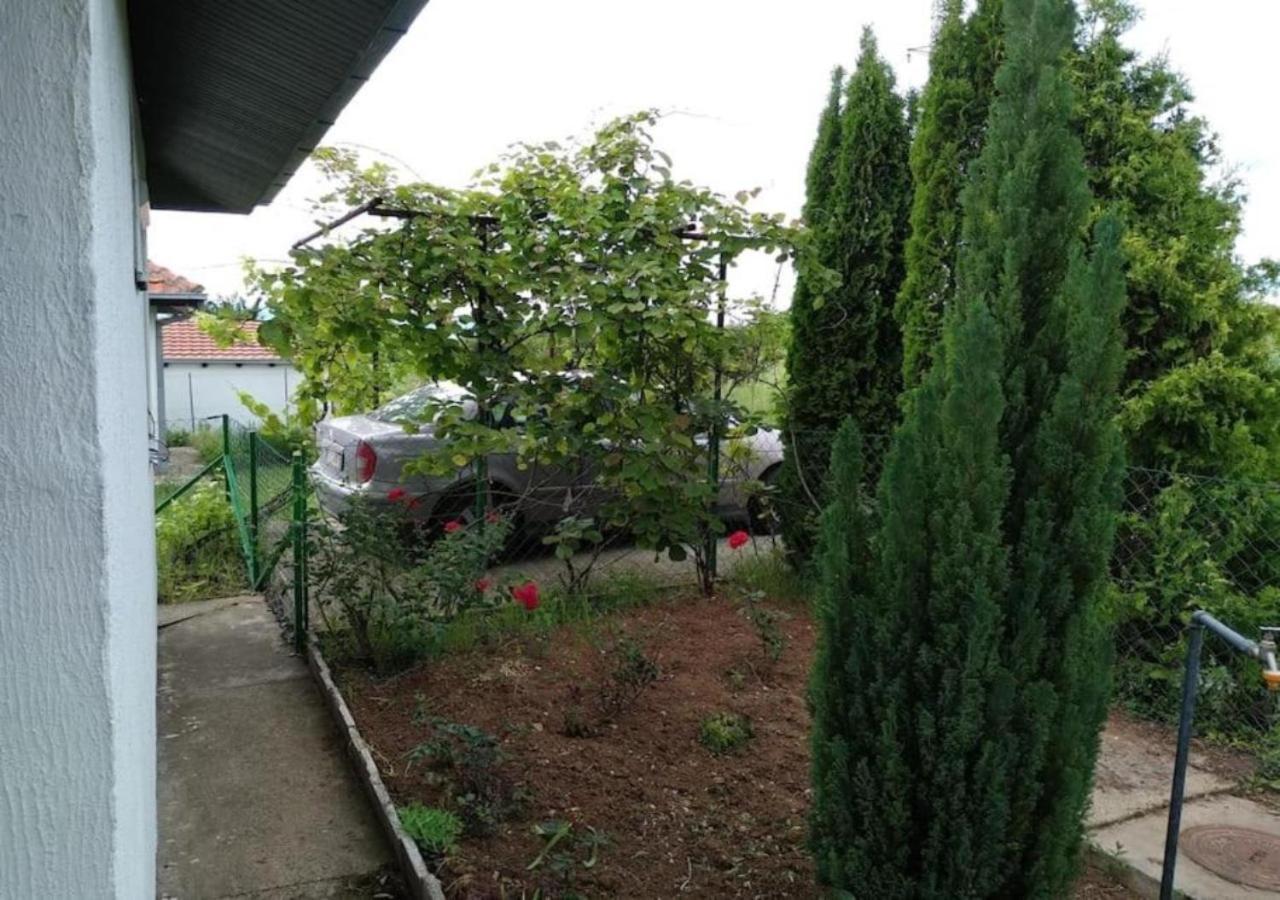 Cozy House Cvetkovic Villa Nis Exterior photo
